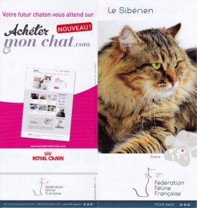 FFF-leaflet-with-irvin-01