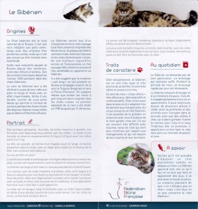FFF-leaflet-with-irvin-02-1
