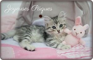 joyeuses-paques-2018