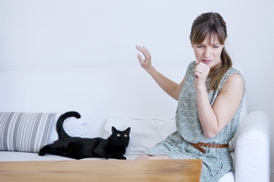 allergie-chats